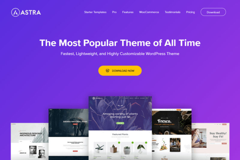 Astra WordPress Theme - A GeneratePress Alternative