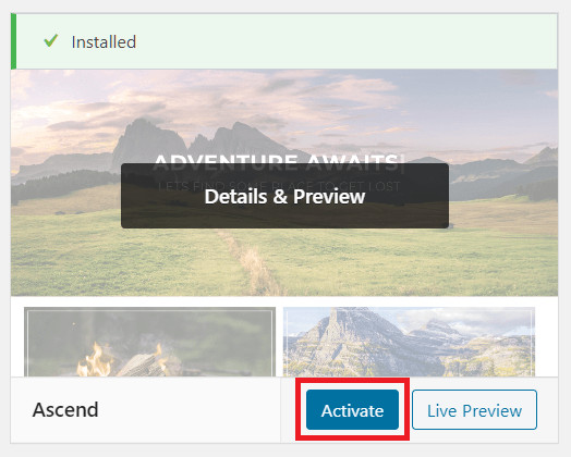 Activating the installed WordPress theme